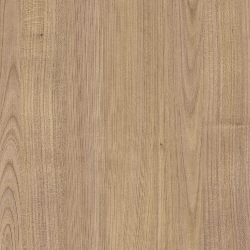 Wiśnia Riverside Jasna K077 PW