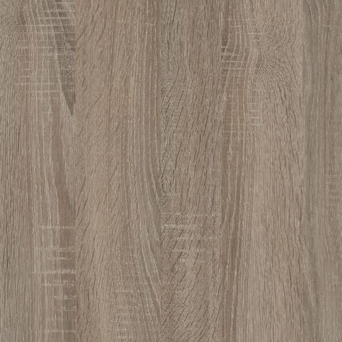 Dąb truflowy 5194 SN