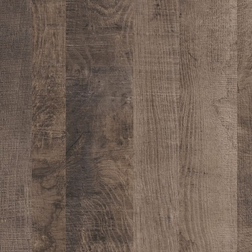 Dąb Grange kolonialny K354 PW