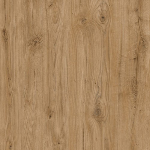 DĄB ODWIECZNY D1041-OW