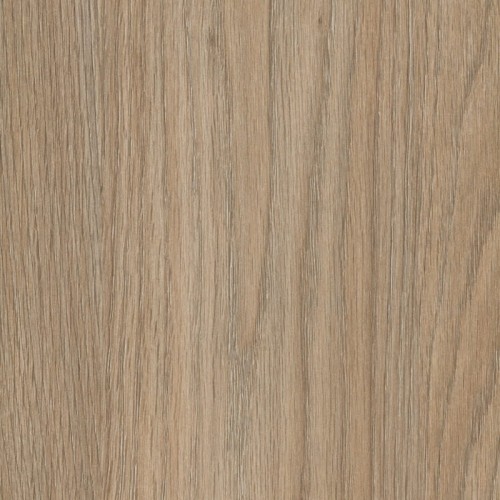 DĄB NOWY JORK D3823 OW