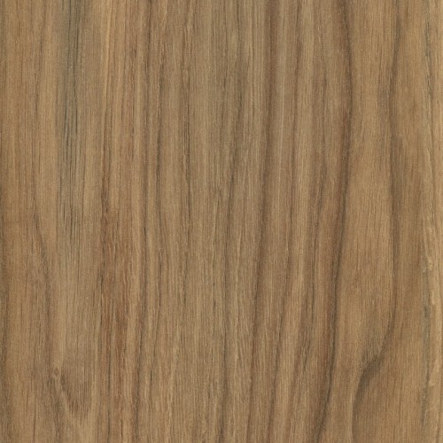 DĄB PRADAWNY D1035 OW