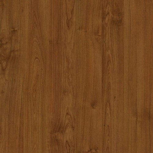 WIŚNIA ANTYCZNA D2360