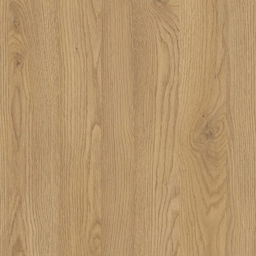 DĄB SŁONECZNY D4033 OW