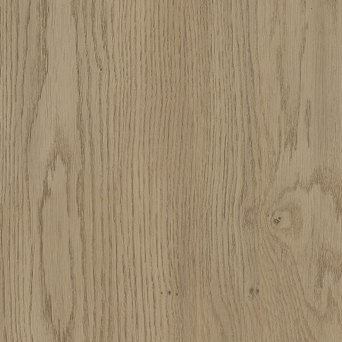 Dąb Torro Cremona K2738