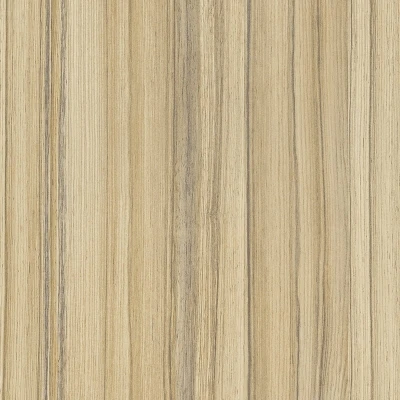 Coco Bolo 8995 SN