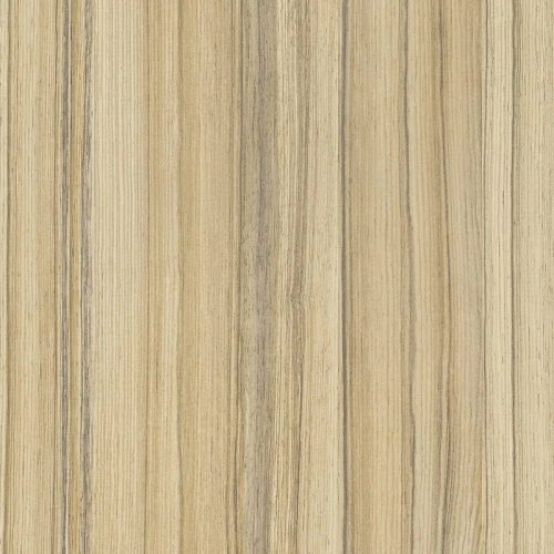 Coco Bolo 8995 SN