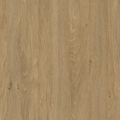 Dąb kamienny (Stone oak) 5527 SN