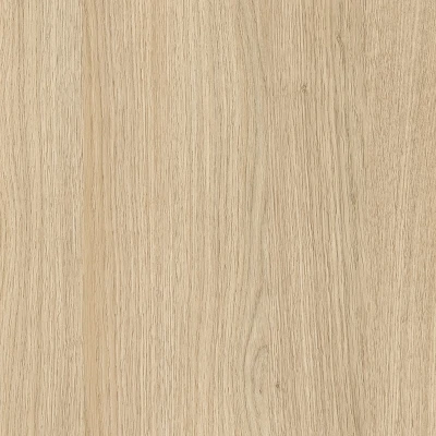Dąb nagano 8431 SN