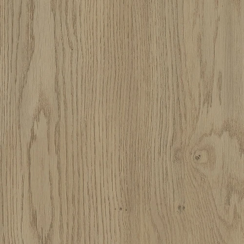 Dąb Torro Cremona K2738
